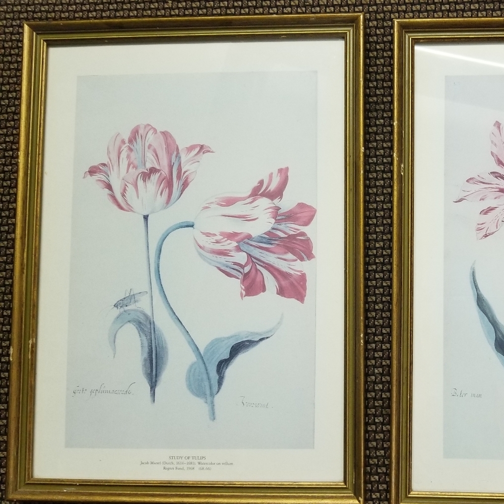 Framed art antique